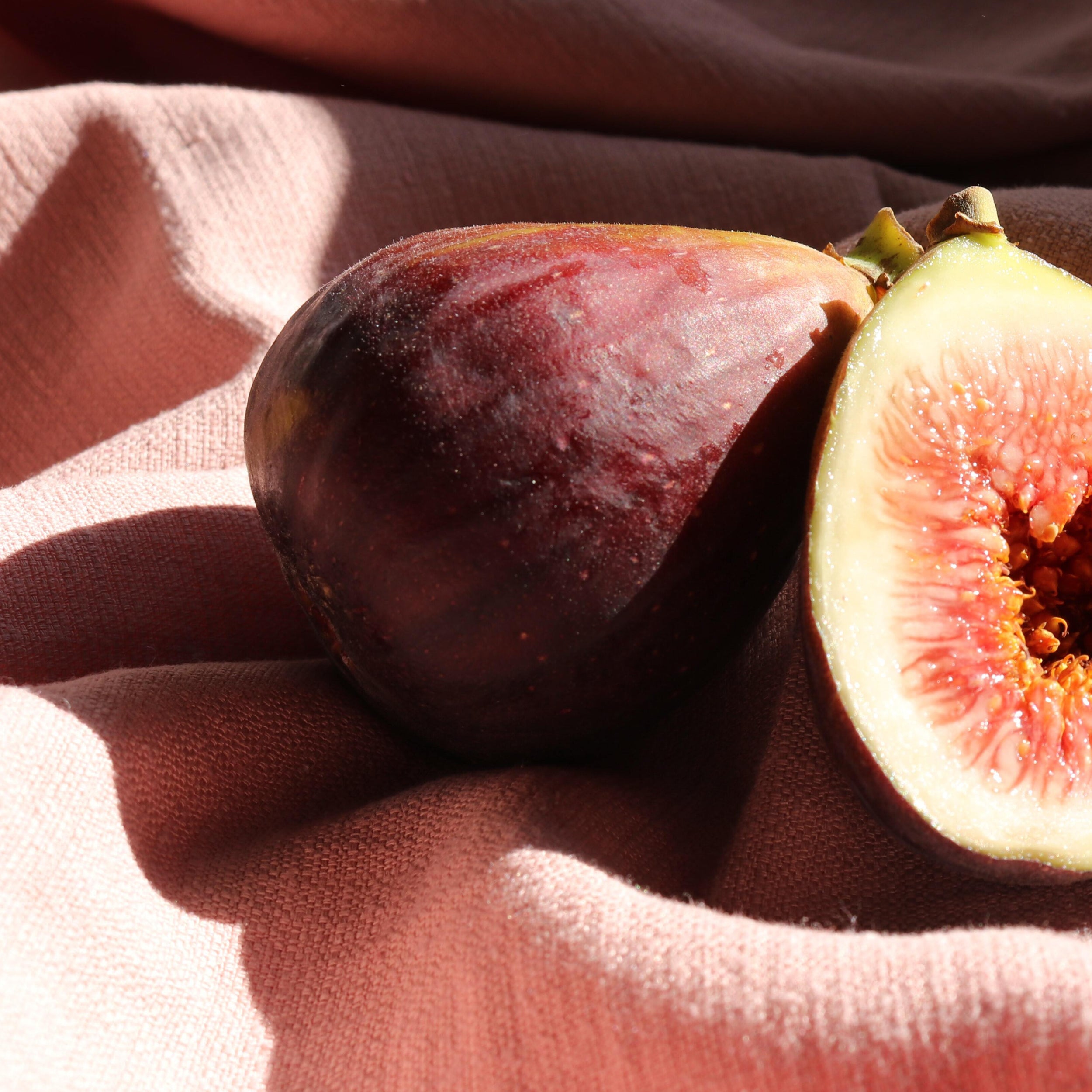 Aphrodisiacs: Fact or Fabricated-by-my-partner?