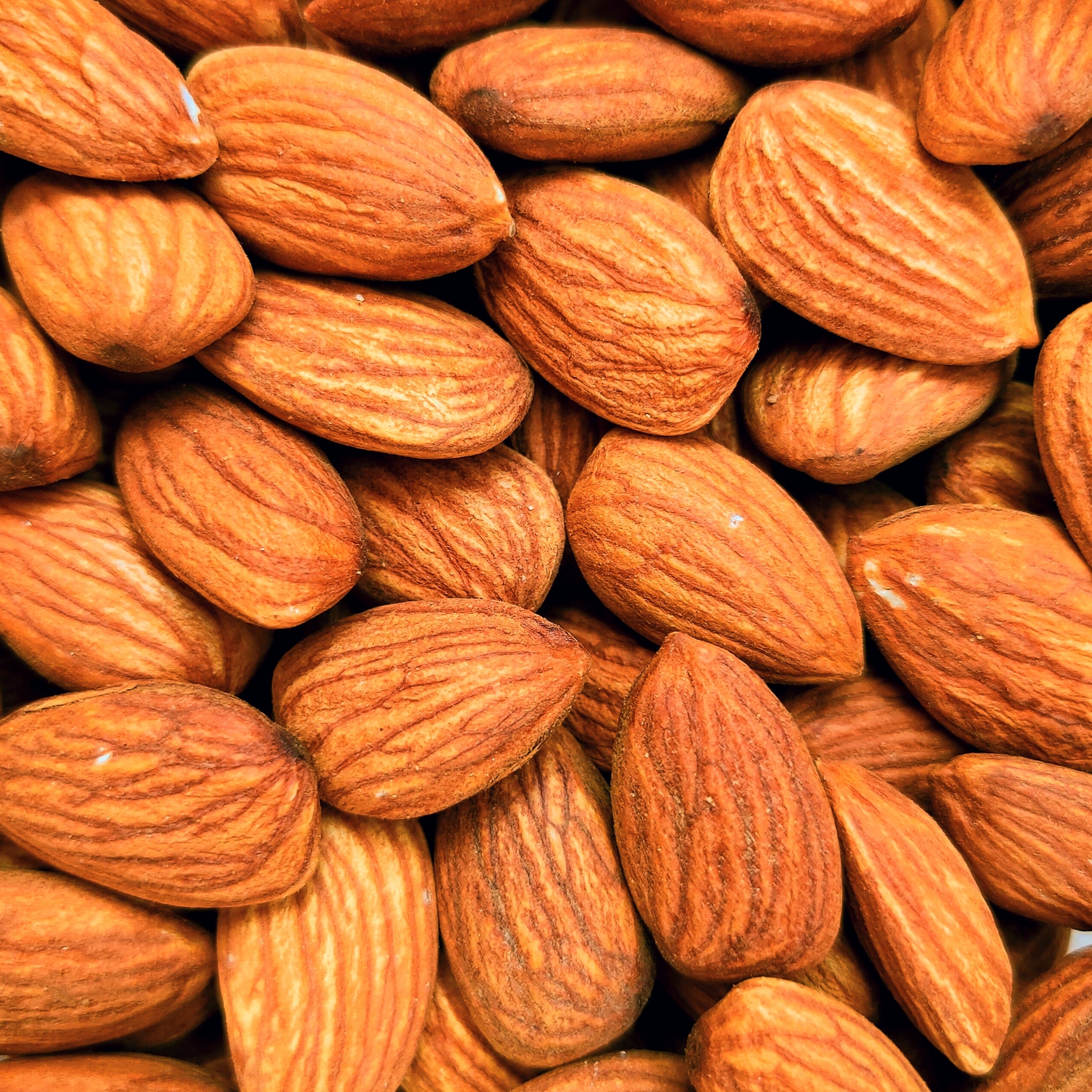 Abstinence: A Nut-Free Zone